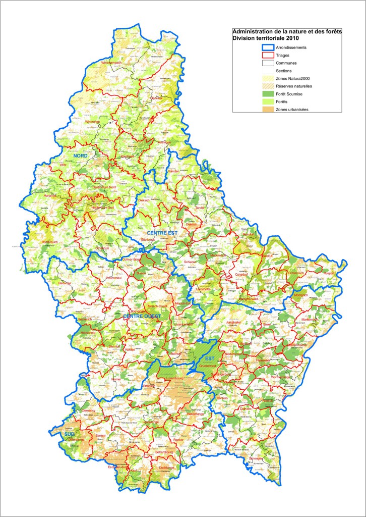 Carte-forêt-726×1024 copy