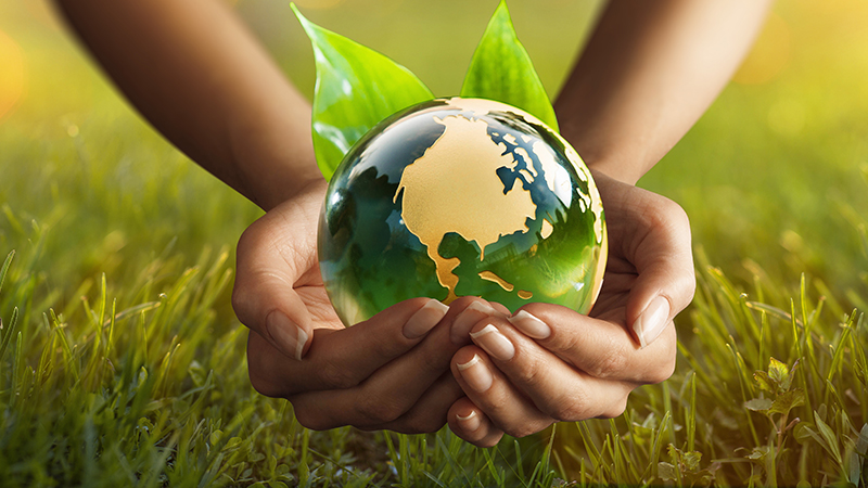 écologie_AdobeStock_263985216_small